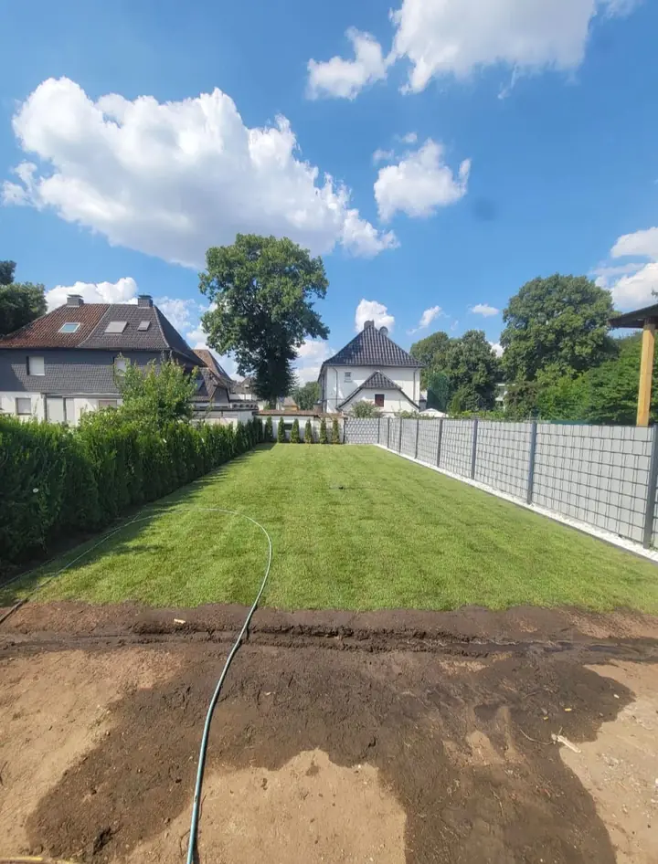 Rollrasen frisch verlegt